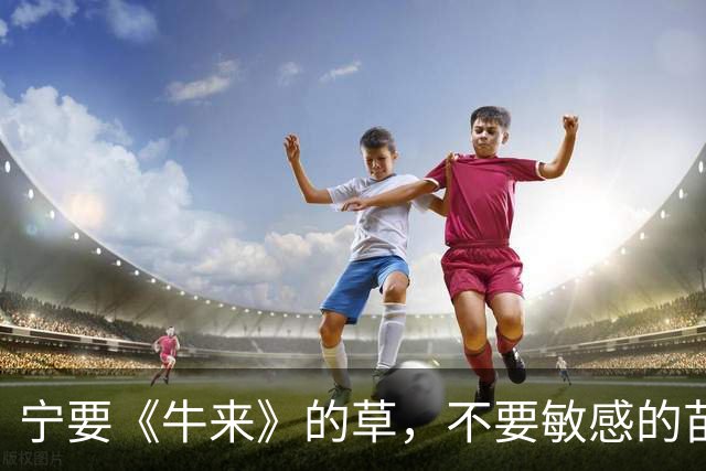 宁要《牛来》的草，不要敏感的苗