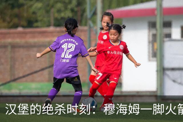汉堡的绝杀时刻：穆海姆一脚火箭冲破僵局